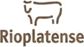 Rioplatense